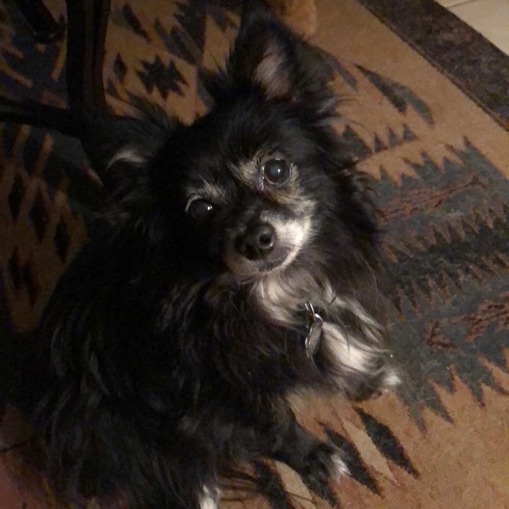 Meet your Posher, Debrah